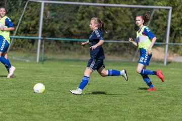 Bild 165 - B-Juniorinnen VfL Pinneberg - HSV : Ergebnis: 1:4